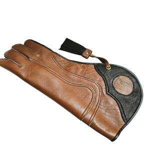 Gants de fauconnerie en cuir double couche personnalisés de haute qualité Nouveau design Ensemble de manipulation des oiseaux Respirant et pliable Imperméable - Product Image 4