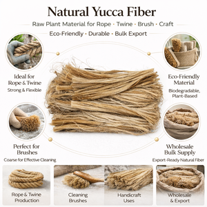 Fibra de Yucca Natural, Cuerda Ecológica Cruda para Fabricación de Cepillos, Suministro al por Mayor para Exportación - Product Image 6