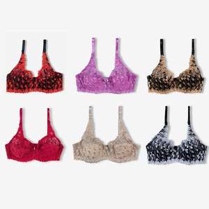 Bundle 10 - Product Image 3