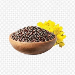 Graines de canola de qualité supérieure à vendre à des prix compétitifs - Product Image 4