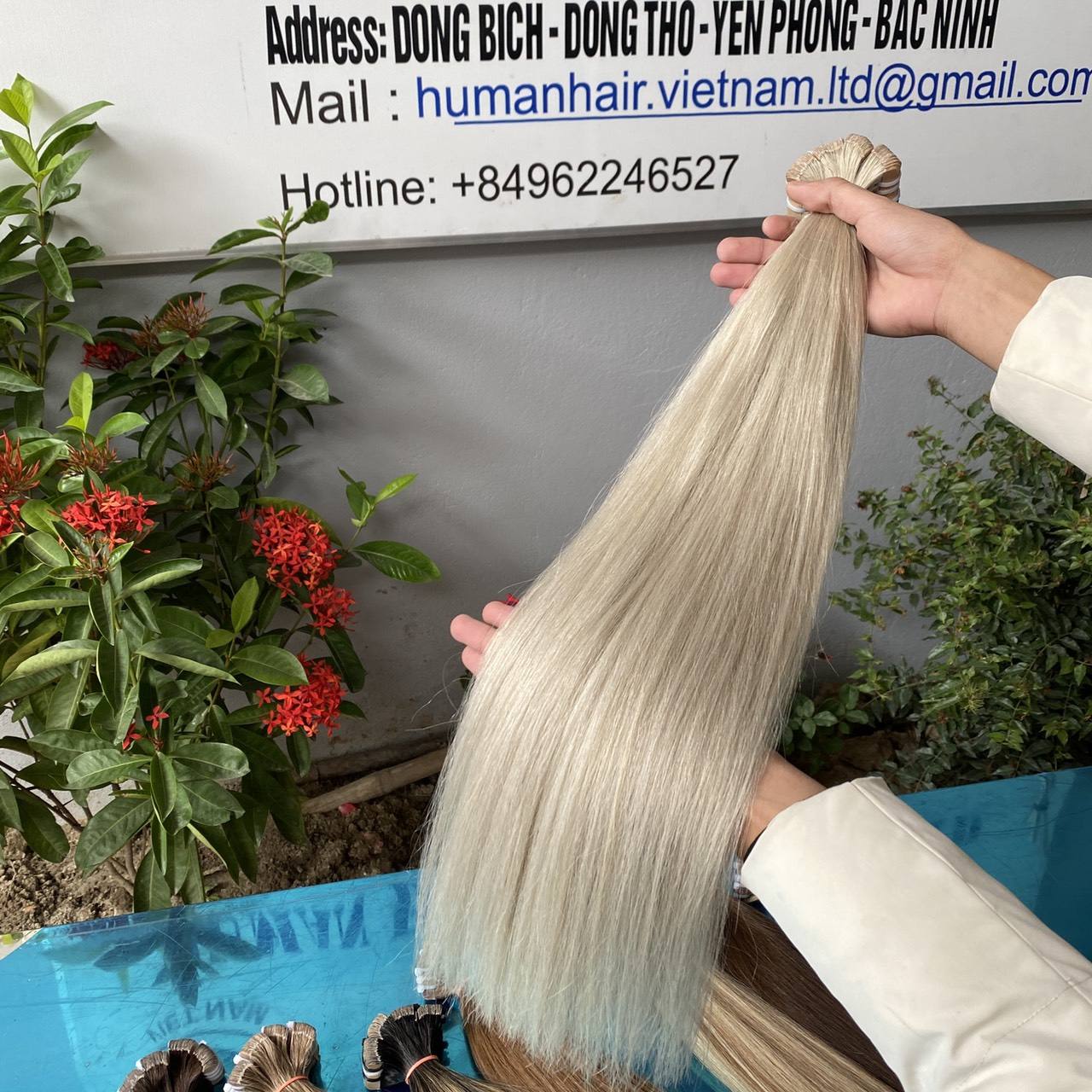 สีบลอนด์