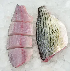 Frozen Seabass Fish 400-600g