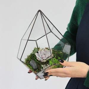 Wholesale Price Triangle Design <b>Terrarium</b> Home & Garden Decorative Clear <b>Glass</b> with Black Brass Border for Homes Jewelry Boxes - Product Image 2