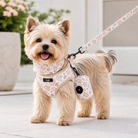 Harnais et laisse pour chien imprimé trèfle Moka, ensemble réglable et doux pour petits chiens et chiots, accessoires de promenade OEM ODM