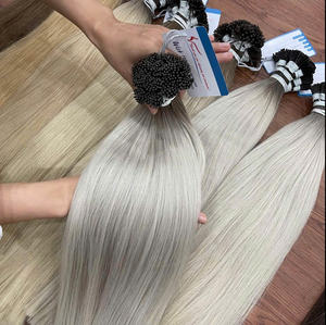 Nouvelle collection d'extensions de cheveux vietnamiennes I-Tip de très haute qualité de l'usine toutes couleurs en pré-commande - Product Image 3