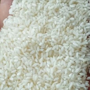 Arroz Govind Bhog de Calidad de Exportación, Certificado por la FSSAI/ISO, 99%+ de Pureza, Excelente Aroma y Sabor para Platos Tradicionales, 24 Meses de Duración - Product Image 1