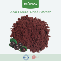 Peruaanse Wilde Acai-bessen Vriesgedroogd Poeder 100% Zuiver HACCP Gecertificeerd Groothandel Premium Kwaliteit Superfood voor Energie & Immuniteit