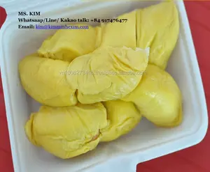 FROZEN DURIAN PULP FROM VIETNAM