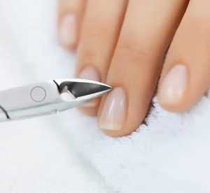 Beauty Tools Nipper cutter HIgh Quality <b>By</b> Zachary Industries - Product Image 1