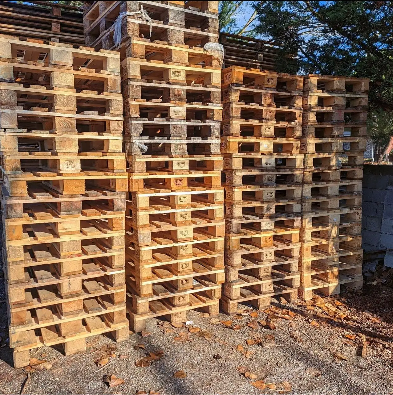 Fornitore di compensato di qualità eccellente prezzo economico bordo di trasporto Pallet in legno massello di pino Epal Pallet in legno Standard
