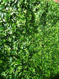 Feuilles de citron vert séchées d'origine vietnamienne, feuilles de kaffir naturelles parfumées pour soupes, currys et aromathérapie, non-OGM, qualité alimentaire. - Product Image 4