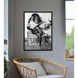 Chimpancé sobre lienzo con base de soporte, impreso digitalmente, leyendo un periódico - Product Image 2