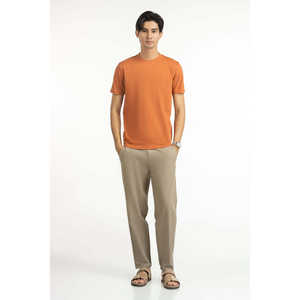 Camisetas de Corte Regular 100% Algodón, Transpirables, Antiarrugas, de Manga Corta, Talla Grande, Color Caramelo, para Hombre, Verano, 260gsm Jersey - Product Image 6