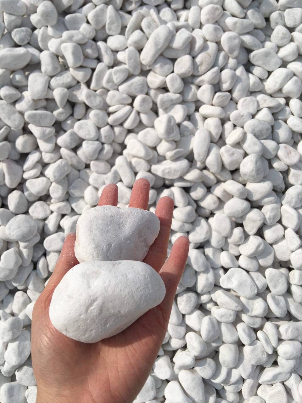 สโนว์ไวท์