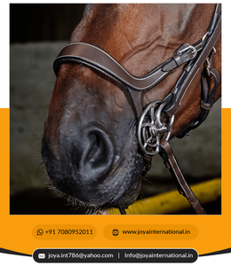 Brida de caballo de PVC transpirable anatómica al mejor precio con riendas Compras en línea para montar en la India Brida plegada - Product Image 6