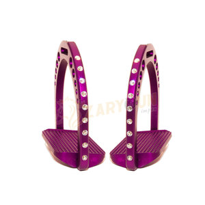 Estribos occidentales de acero inoxidable de alta calidad para jinetes de carreras logotipo personalizado mejor venta con cristales de características de alta seguridad - Product Image 1