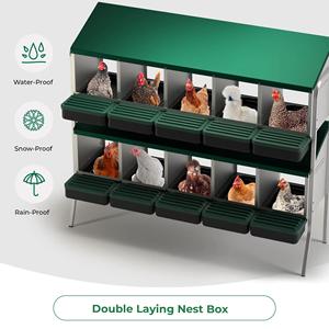 Solución Segura para Almacenamiento de Huevos: Caja de Nidificación Des Champs MG04D-L con <span class=keywords><strong>Ocho</strong></span> Compartimentos, Patas de Acero y Plástico PP - Product Image 1