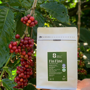 Vietnam Robusta FIN FINE granos de café tostado oscuro miel dulzura para compradores mayoristas B2B empaquetados en bolsa - Product Image 6