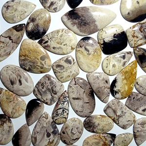 Cabujón Natural de ágata de raíz de Palma, piedra preciosa pulida a mano, lote de ágata de raíz de Palma suelta para fabricación de joyas - Product Image 3