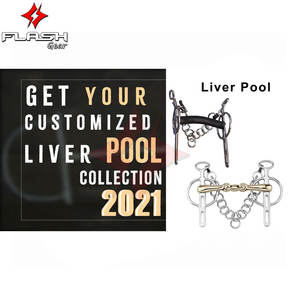 Boquilla acolchada suave con punta articulada de ranura Liverpool de hierro dulce de alta calidad, construcción de acero inoxidable y plata alemana - Product Image 6