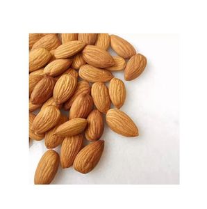 Amandes brutes naturelles, collation saine et riche en protéines, idéale pour la consommation quotidienne et les commandes en gros à grande échelle - Product Image 5