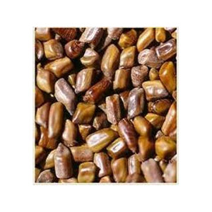 Prix de gros Cassia Tora Graines de Cassia naturelles Séchées Semen Cassia Graines de Cassia Thé aux herbes - Product Image 1