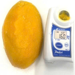 Mangue congelée naturellement sucrée provenant directement de fermes tropicales de qualité supérieure - Product Image 2