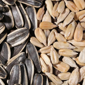 Sunflower Seed Shell 100% Original Sunflower Seed at Cheap Wholesale Price - Product Image 5