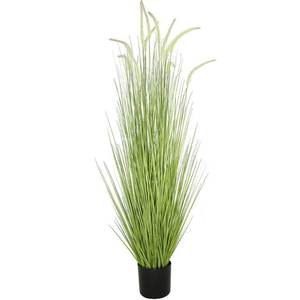 หญ้า150ซม. - Product Image 1