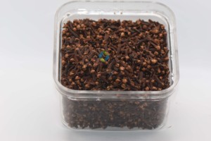Girofle frais séché biologique de haute qualité - Product Image 2