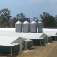 Edificio Prefabricado de Acero para Aves de Corral, para Granjas de Pollos de Engorde, con Sistema de Ventilación y Diseño Personalizado