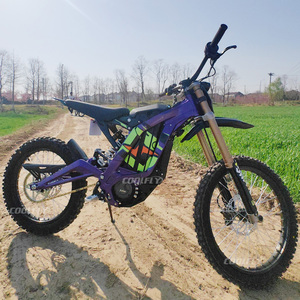 Vélo électrique Hot Sale Light Bee X Europe, roues avant 19 pouces, arrière 18 pouces, modèle léger homologué pour la route, pour usage urbain et tout-terrain - Product Image 3