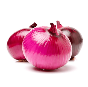 Cebolla pelada fresca a granel a la venta a precios de fábrica Cebollas limpias y frescas para procesamiento de alimentos y venta al por menor - Product Image 2