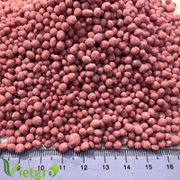 Guano NPK granulaire 15-5-20 de haute qualité VGF avec engrais composé à libération contrôlée dans un sac de 50kg