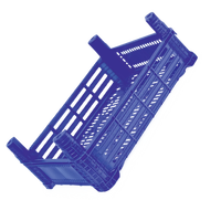 DPK15 Assiettes et bols élégants en plastique 40x30x15cm – Rangement et service pratiques pour fraises – Caisse premium pour dinde