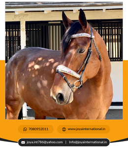 Irst-riel de aleación de aluminio para reducción de peso, herramienta de nivelación de aleación de aluminio, de diferentes colores - Product Image 4