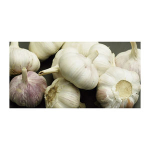 Prix de Gros Ail Frais de Haute Qualité 100% Biologique Pur Blanc de Belgique Durée de Conservation 12 Mois Vente Marque Personnalisée - Product Image 1