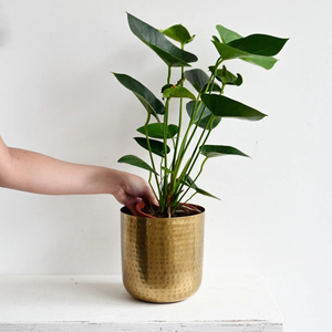 Luxury Hammered Gold Metal Planter Modern Decorative Flower <b>Pot</b> <b>Indoor</b> <b>Plant</b> <b>Pot</b> For Home Office Living Room Bedroom Garden - Product Image 3