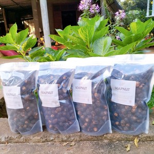 Vietnam Natural Dried Soap Nuts Eco Friendly Soapberry for Laundry Cleaning and Household <b>Detergent</b> Bulk Supply - Product Image 4