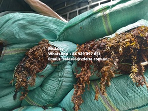 Matière première pour engrais sargasses algues/sargasses séchées pour l'alimentation animale au meilleur prix Mme Lily - Product Image 6