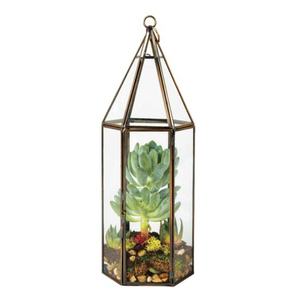 Terrarium métal et verre, dispositif en verre - Product Image 4