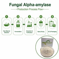 Poudre d'enzyme alpha-amylase fongique de qualité alimentaire 100 000 U/g pour la pâtisserie