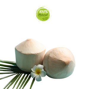 Ingrediente fresco de cáscara de coco pelado con diamante para barras energéticas - Product Image 4