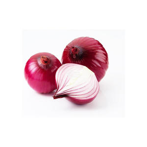 ต้นหอมสีแดงต้นหอมของต้นพืชใหม่พรีเมี่ยม - Product Image 5