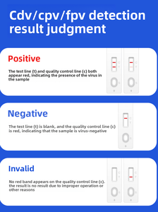 Kit de <span class=keywords><strong>test</strong></span> rapide AmywellMED CPV CDV FPV Ag pour animaux de compagnie - Réactif de détection du parvovirus canin/ de la maladie de Carré/ de la panleucopénie féline - Product Image 4