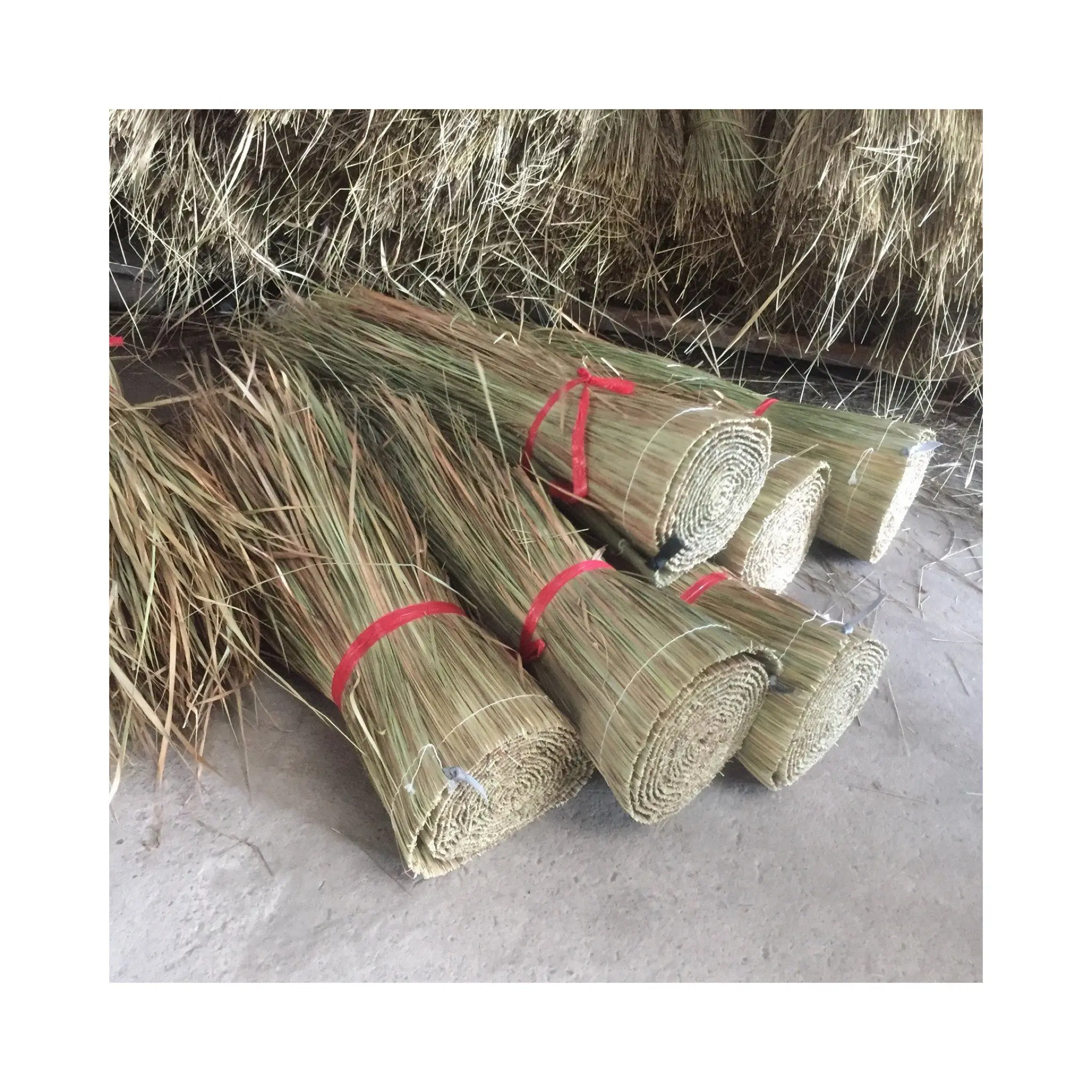 Wholesale grama palha telhado palha palha palha palha rolos palmeira natural deixa telhado para as exportações do fornecedor vietnamita 99GD