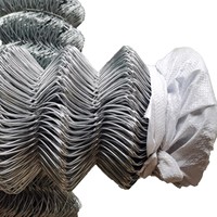 Malla de Alambre de Alta Resistencia de 50*50 mm, 60*60 mm, 75*75 mm para Uso Comercial