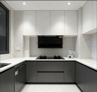 Ensemble complet d'armoires de cuisine en aluminium avec évier, accessoires, charnières, glissières de tiroir pour la maison, la villa, les meubles de cuisine