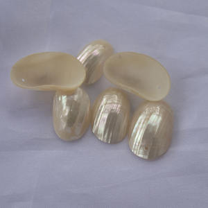 Turbo Gran Corte perlado Seashell incrustaciones artesanales Indonesia pulido crudo técnica Animal estilo para incrustaciones de joyería - Product Image 3