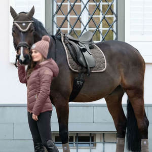 Precio bajo Venta caliente Caballo ecuestre Sillín Almohadillas Cómodas Almohadillas ajustables para sillín en precio razonable - Product Image 5